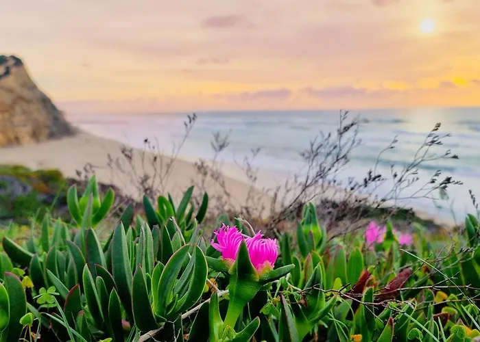 Tika Surf Camp Ericeira * Carvoeira